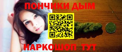 гашик Сланцы