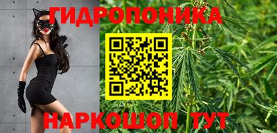 ГАЛЛЮЦИНОГЕННЫЕ ГРИБЫ Славгород