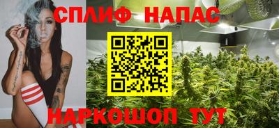гидра Славянск-на-Кубани