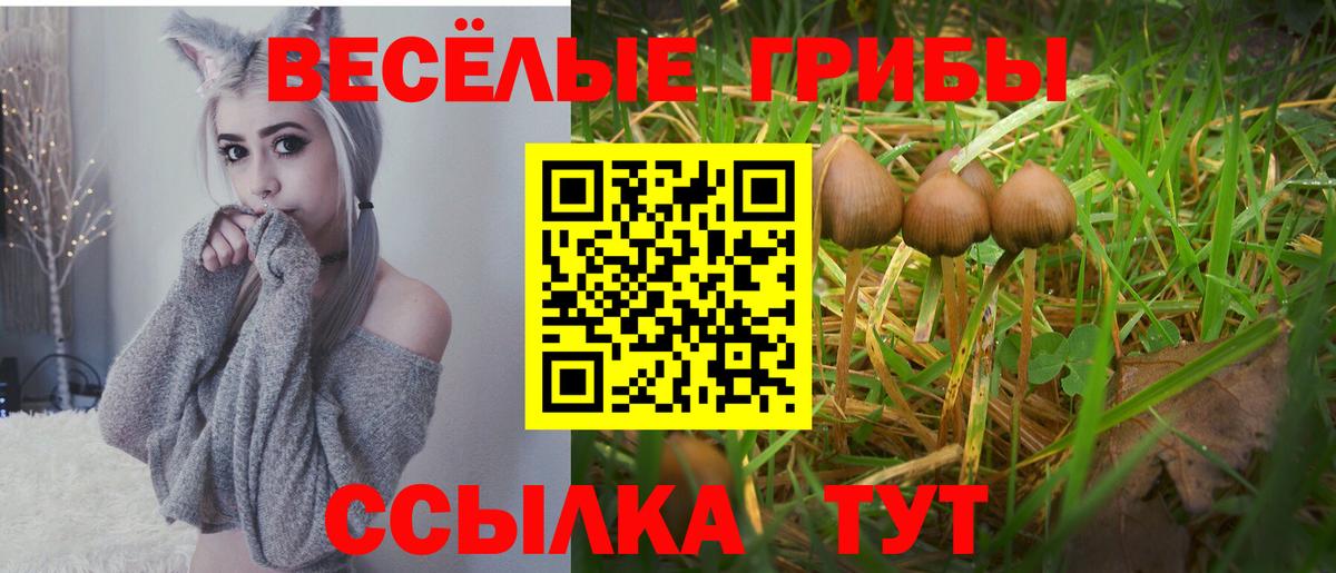Галлюциногенные грибы GOLDEN TEACHER Богданович